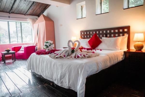 Hibiscus House Gambia Hotel Brufut Kültér fotó